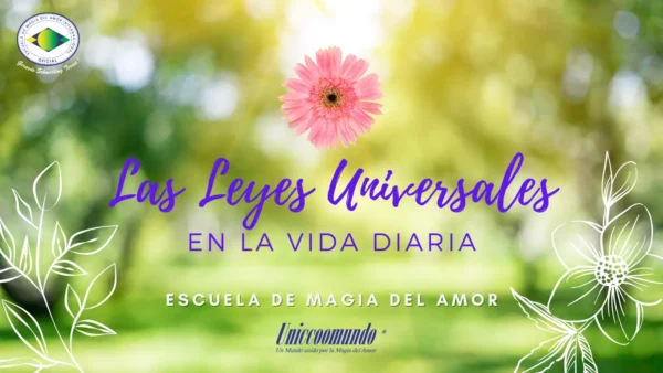 Las Leyes Universales en la Vida Diaria (Manual)