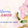 Las Relaciones del Amor (Manual)